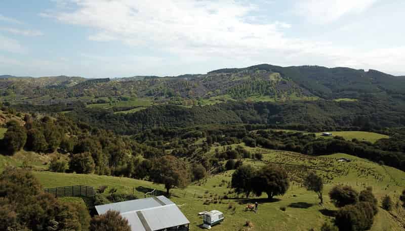 1050 Ellis Wallace Road, Eskdale