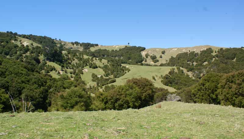 1050 Ellis Wallace Road, Eskdale