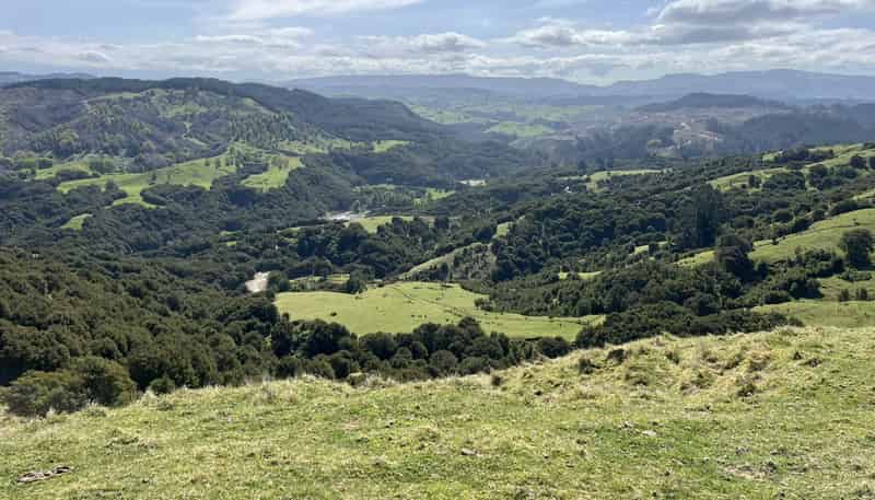 1050 Ellis Wallace Road, Eskdale