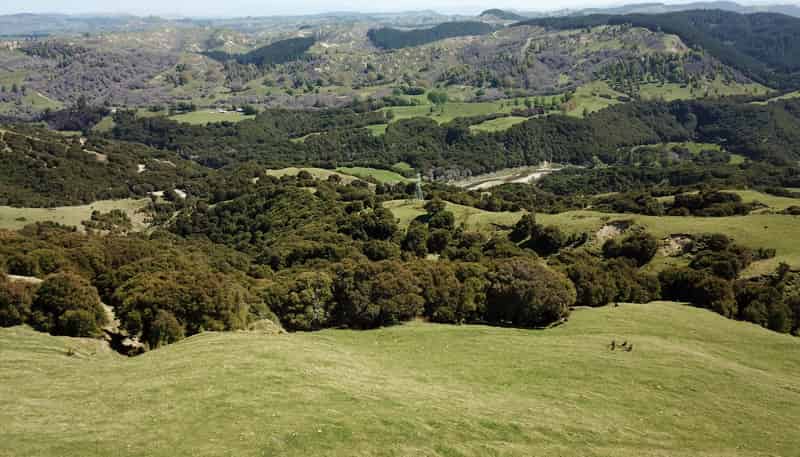 1050 Ellis Wallace Road, Eskdale