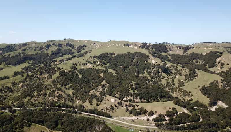 1050 Ellis Wallace Road, Eskdale
