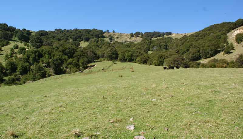 1050 Ellis Wallace Road, Eskdale