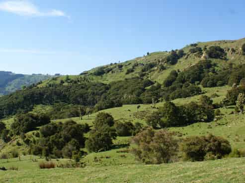 1050 Ellis Wallace Road, Eskdale