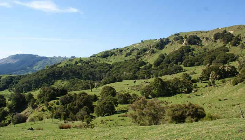 1050 Ellis Wallace Road, Eskdale
