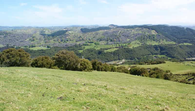 1050 Ellis Wallace Road, Eskdale