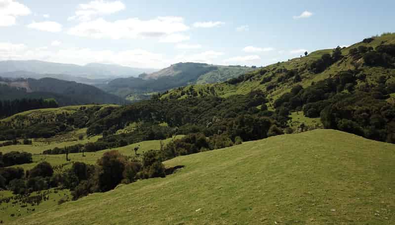 1050 Ellis Wallace Road, Eskdale