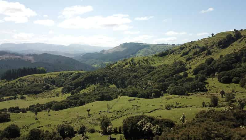 1050 Ellis Wallace Road, Eskdale