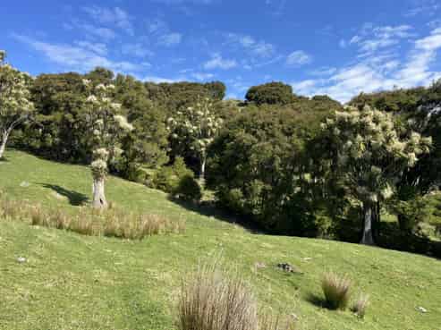 1050 Ellis Wallace Road, Eskdale