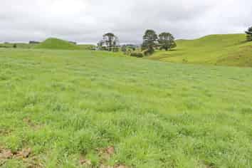 0n End Of Harkness Rice Way, Koru