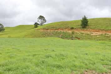 0n End Of Harkness Rice Way, Koru