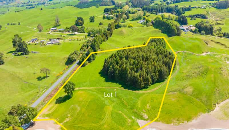 324 Palmer Mill Road, Wairakei