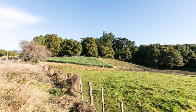 Lot 1, 296 Mill Road, Ashley Clinton
