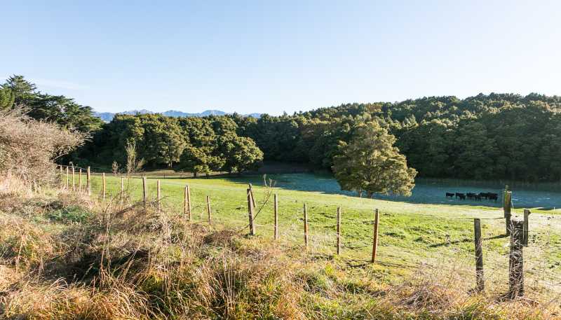 Lot 1, 296 Mill Road, Ashley Clinton