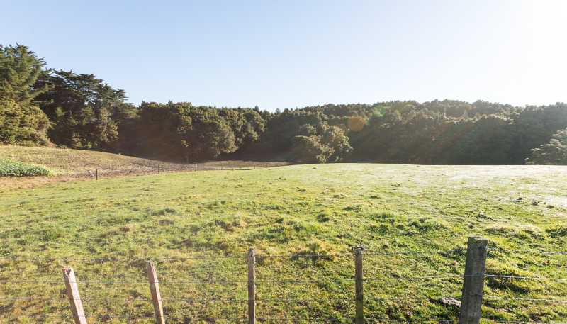 Lot 1, 296 Mill Road, Ashley Clinton