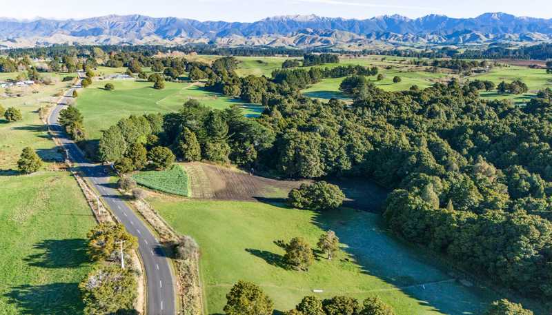 Lot 1, 296 Mill Road, Ashley Clinton