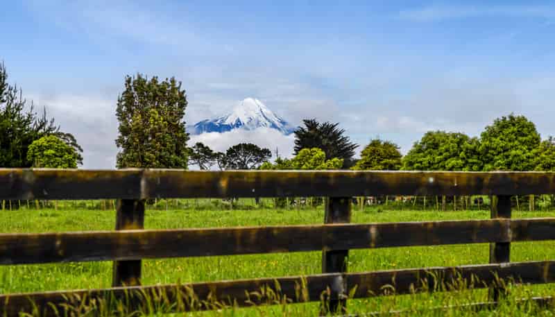 389 Fraser Road Lot 1, Normanby