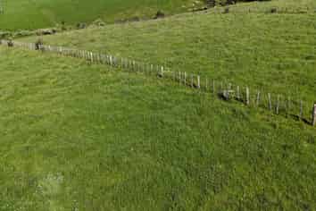  Lot 4 Whakataha Road, Waimate North