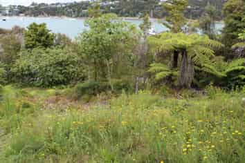 Northland - Address withheld