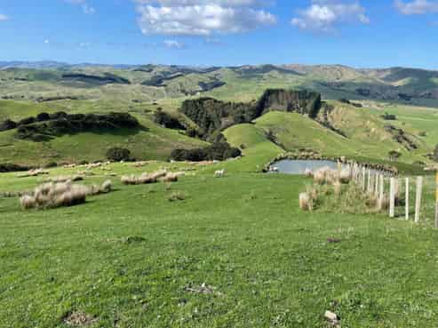 37 Waikakahi Road Pongaroa, Pongaroa