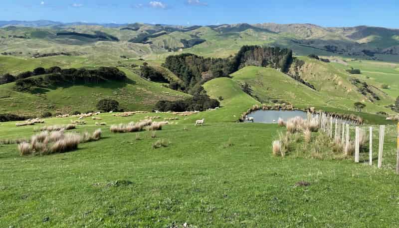 37 Waikakahi Road Pongaroa, Pongaroa