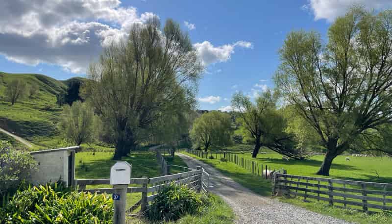 37 Waikakahi Road Pongaroa, Pongaroa