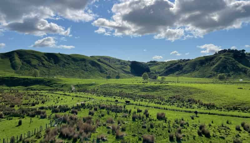 37 Waikakahi Road Pongaroa, Pongaroa