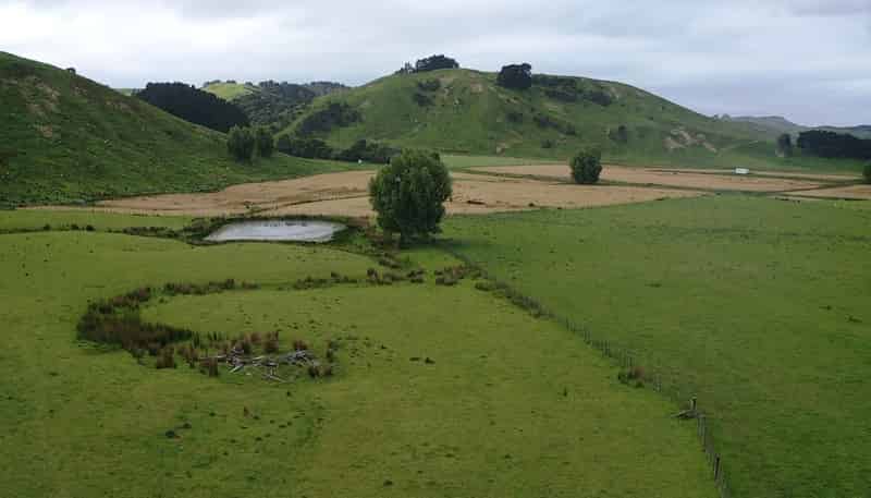 37 Waikakahi Road Pongaroa, Pongaroa