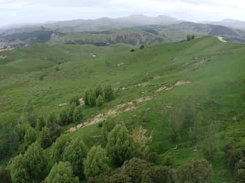 37 Waikakahi Road Pongaroa, Pongaroa