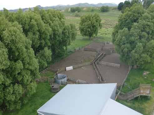 37 Waikakahi Road Pongaroa, Pongaroa