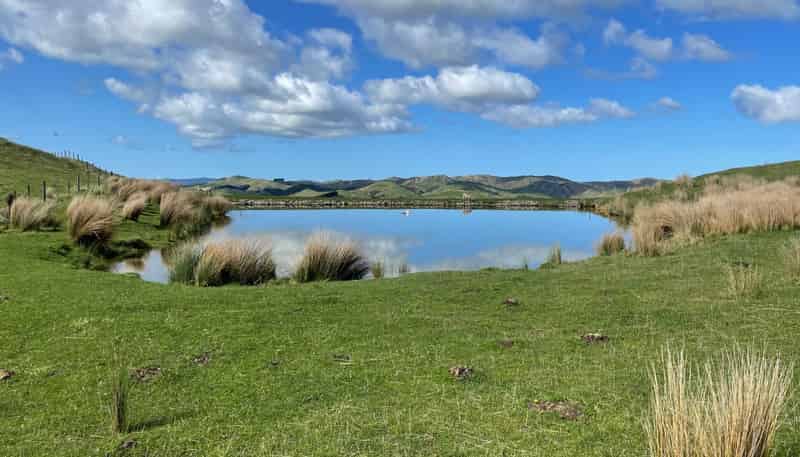 37 Waikakahi Road Pongaroa, Pongaroa
