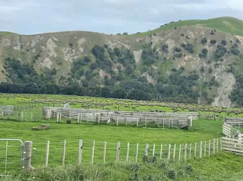 37 Waikakahi Road Pongaroa, Pongaroa