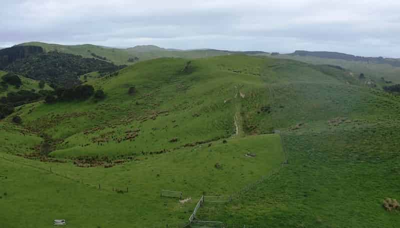 37 Waikakahi Road Pongaroa, Pongaroa