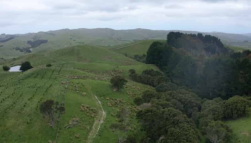 37 Waikakahi Road Pongaroa, Pongaroa
