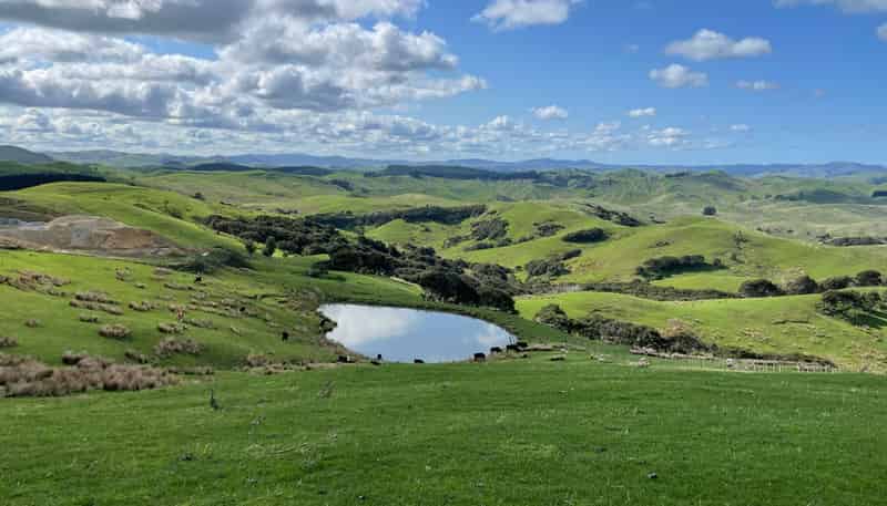 37 Waikakahi Road Pongaroa, Pongaroa