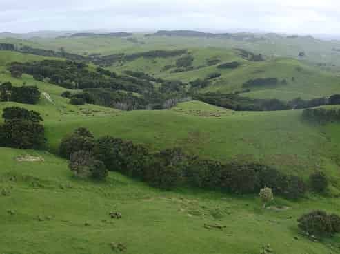 37 Waikakahi Road Pongaroa, Pongaroa