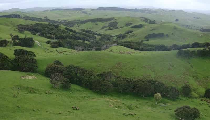 37 Waikakahi Road Pongaroa, Pongaroa