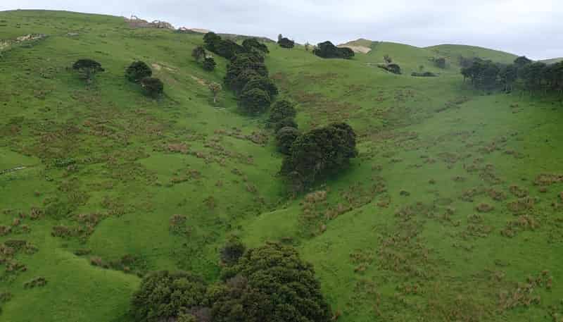 37 Waikakahi Road Pongaroa, Pongaroa