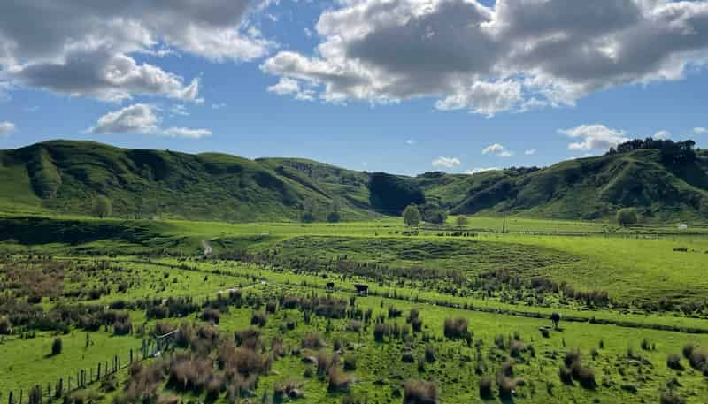 37 Waikakahi Road Pongaroa, Pongaroa