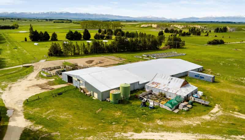  Pendella Farm, 72 Gibson Road, Ranfurly