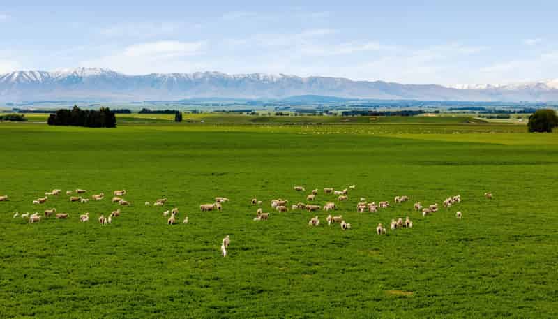  Pendella Farm, 72 Gibson Road, Ranfurly