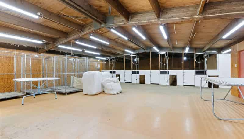  Pendella Farm, 72 Gibson Road, Ranfurly