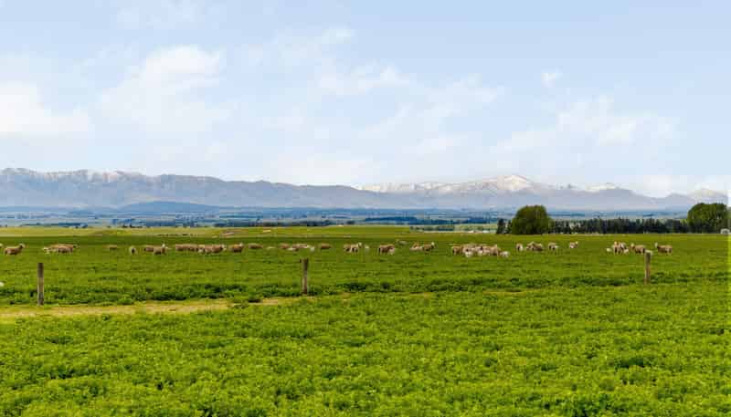  Pendella Farm, 72 Gibson Road, Ranfurly