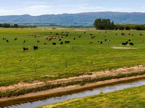  Pendella Farm, 72 Gibson Road, Ranfurly