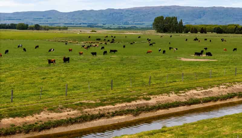  Pendella Farm, 72 Gibson Road, Ranfurly