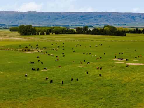  Pendella Farm, 72 Gibson Road, Ranfurly