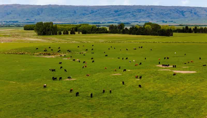  Pendella Farm, 72 Gibson Road, Ranfurly