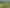 105 Tudehope Road, Matarau