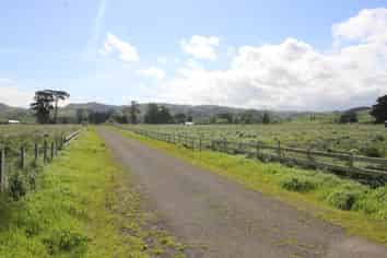 20 Feng Lane, Woodville