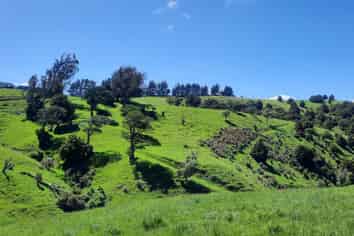 183 Gunn Road, Waitepeka