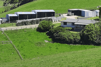 183 Gunn Road, Waitepeka